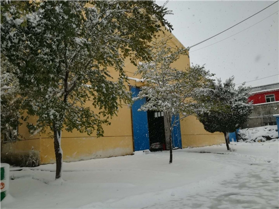 新疆福吉亚冬天