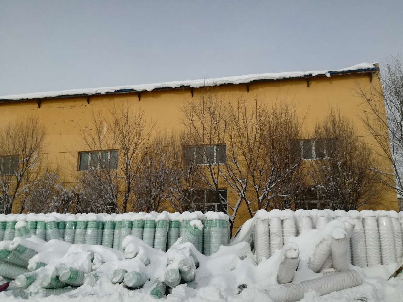 大雪后的新疆福吉亚