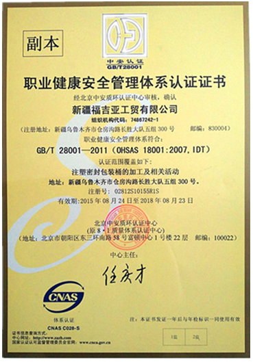 亚电竞官网：职业健康安全管理体系认证证书