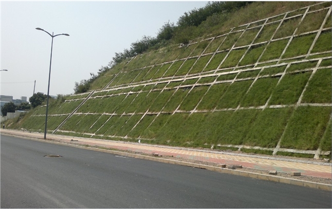 劲强方格网塑料模具为麦盖提—喀什高速公路的贡献