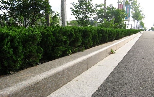 劲强路沿石塑料模具为图木舒克市政道路增添了一份∏美